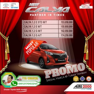PROMO NEW CALYA 2020. HUB : Tyo 081217002245